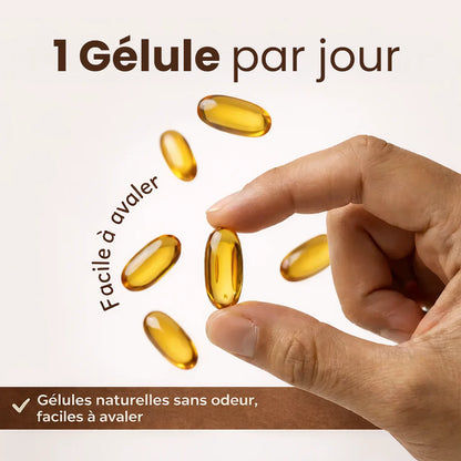 Extrait d’Ail Vieilli 7500 mg – Gélules Sans Odeur